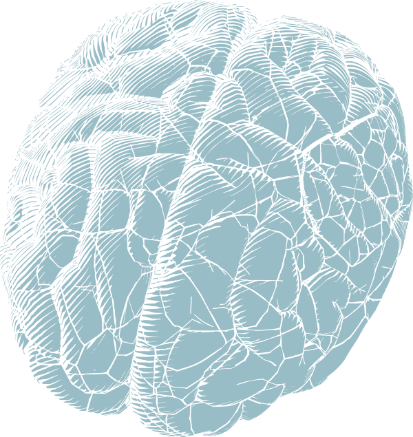 brain mind map infographic, demonstrating the financial services forum branding development