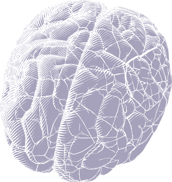 brain mind map infographic, demonstrating space and time branding development