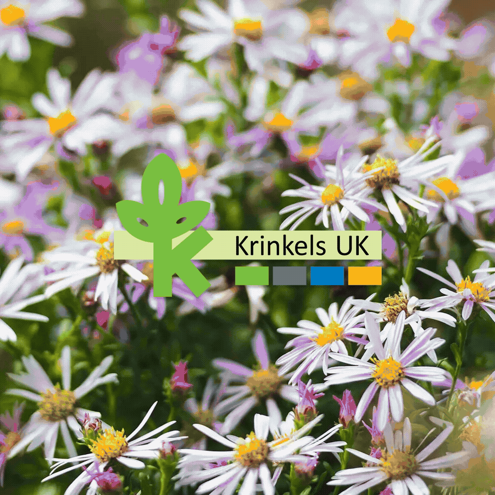 A square animated GIF cycling through various sections of the completed Krinkels UK website, including the homepage, "about us," and service pages.