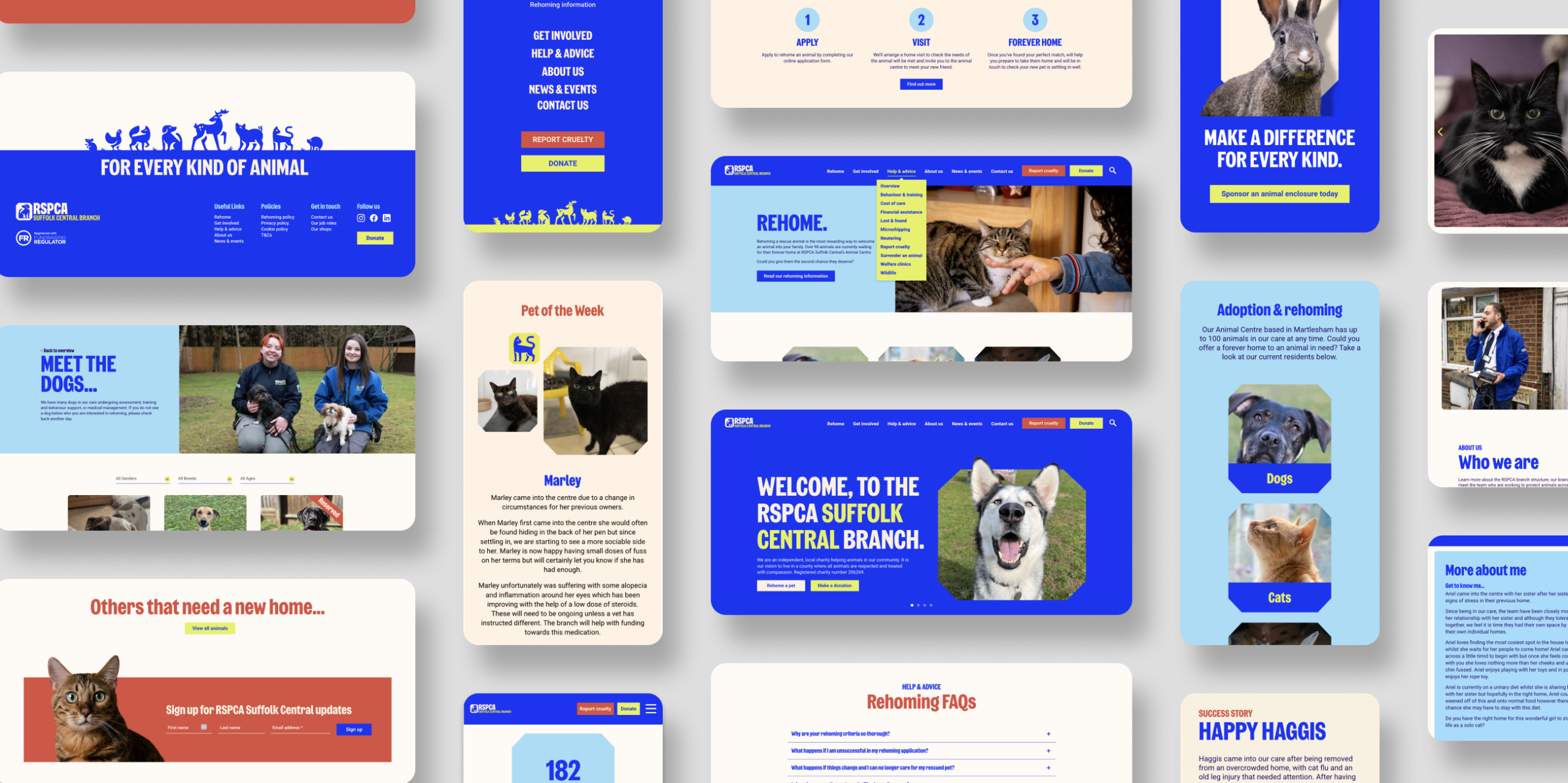 Screens displaying the RSPCA Suffolk Central website, showcasing a clean user interface with a high-quality photo of a dog and clear navigation buttons.
