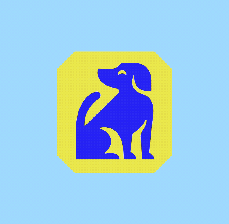 An animated RSPCA logo transitioning from the blue box into a dynamic, modern movement.